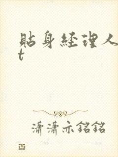 贴身经理人txt