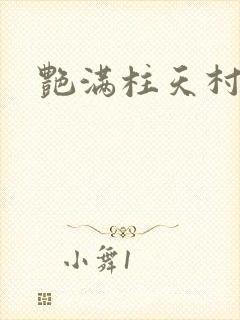 艳满柱天村封面