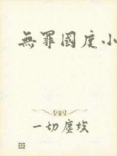 无罪国度小说
