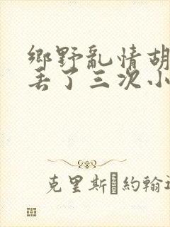 乡野乱情胡秀英丢了三次小说封面