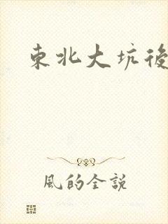 东北大坑后续2