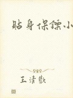 贴身保镖小说封面