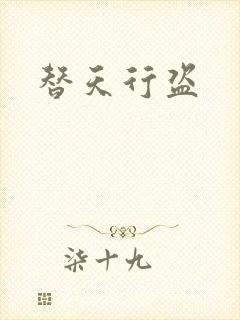 替天行盗