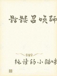 骷髅召唤师封面