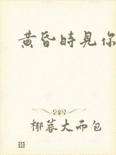黄昏时见你封面