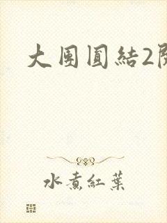 大团圆结2阅读