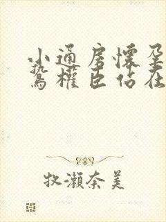 小通房怀孕了阴鸷权臣站在身前封面