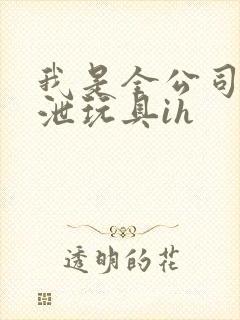 我是全公司的发泄玩具ih封面
