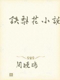 铁梨花小说