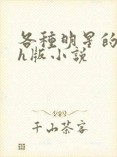各种明星的综艺h版小说封面