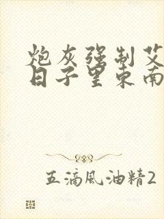 炮灰强制艾草的日子里东南枝小说
