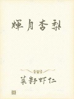 辉月杏梨