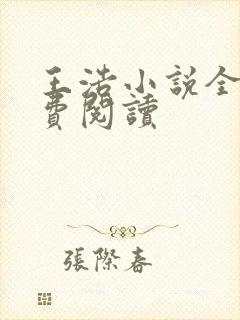 王浩小说全文免费阅读封面