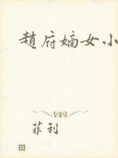 赵府嫡女小说