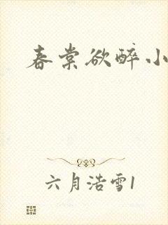 春棠欲醉小说
