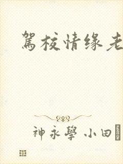 驾校情缘老赵封面