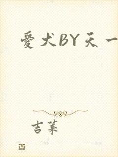 爱犬BY天一