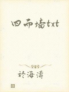 四面墙txt封面