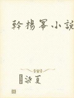 干杨幂小说封面