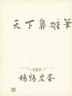天下枭雄笔趣阁封面