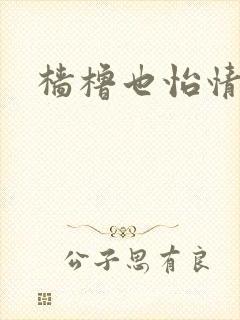 樯橹也怡情封面