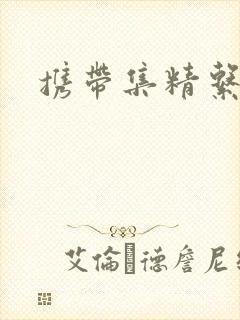 携带集精系统封面