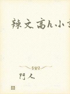 辣文高h小说封面