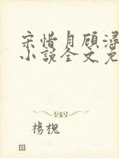 宋惜月顾浔渊的小说全文免费阅读封面