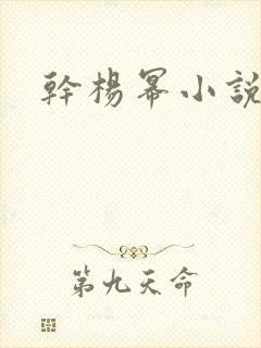 干杨幂小说封面