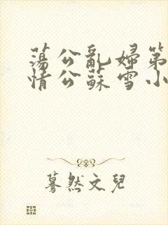 荡公乱妇第1章情公苏雪小说