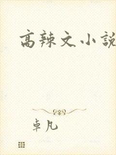 高辣文小说