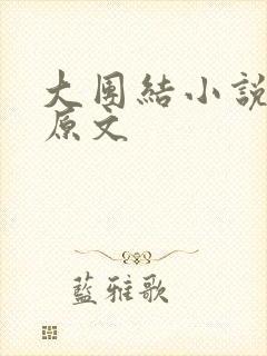 大团结小说阅读原文