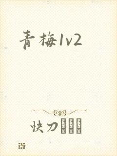 青梅1v2封面