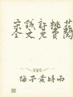 宋钱许桃花小说全文免费阅读封面