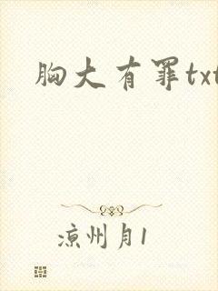 胸大有罪txt