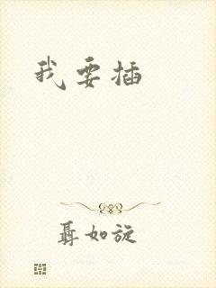 我要插