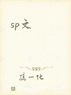 sp文封面