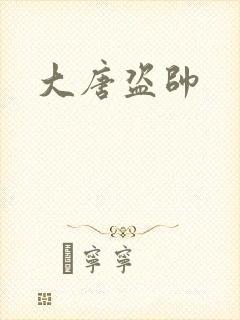 大唐盗帅