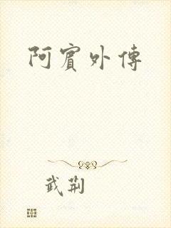 阿宾外传