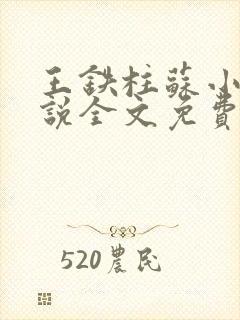 王铁柱苏小汐小说全文免费阅读最新章节封面