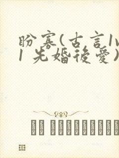 盼寡(古言1v1 先婚后爱)
