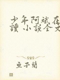 少年阿斌在线阅读 小说全文免费