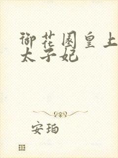 御花园皇上撞着太子妃封面
