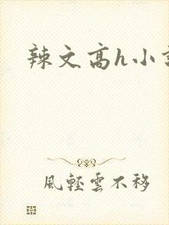 辣文高h小说