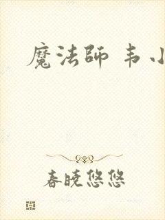 魔法师 韦小宝
