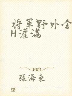 将军野外含公主H灌满