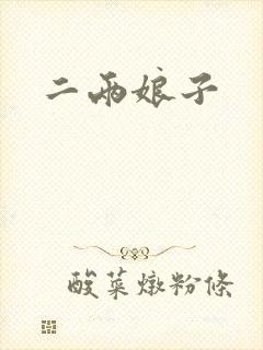 二两娘子封面