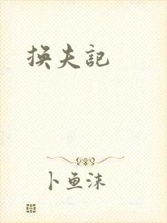 换夫记封面