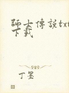 师士传说txt下载封面