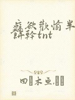 瘾欲欢愉半块小饼干tnt